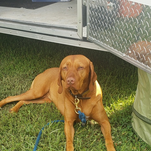 Meet your Posher, A - Picture 1 of 1